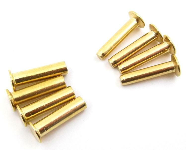 Custom Flat Slotted Stainless Steel Solid Antique Brass Chicago Binding Screws for Leather Belt