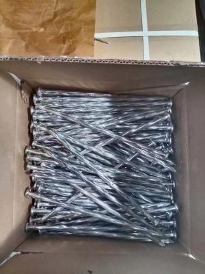 6&quot; Electrol Galvanized Twist Shank Nail/Sparial Shank Nail High Quality Gold Manufacturers
