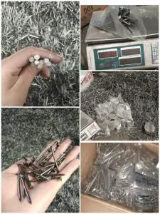 Common Nail 1kg/Plastic Bag Pack, Common Iron Wire Nail