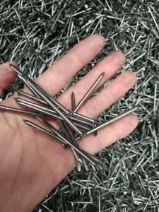 Hot Sell and Polished Builiding Common Round Head Wire Nail