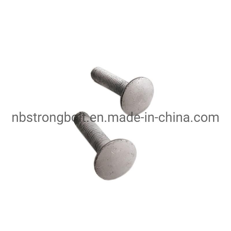 Carriage Bolt DIN603 with HDG