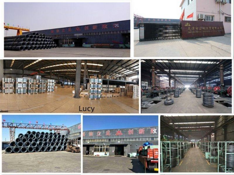 Hard Dovetail Screw /Self Tapping Screw/Drill Tapping Screw/Cross Head