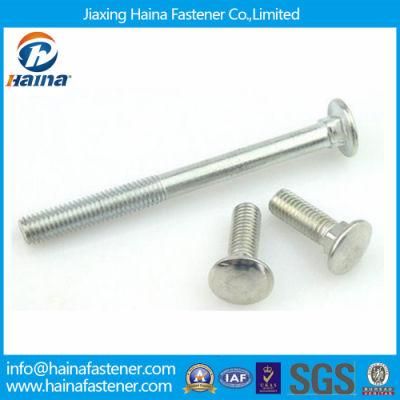 Stainless Steel 304 316 Short Square Neck Carriage Bolts 18-8