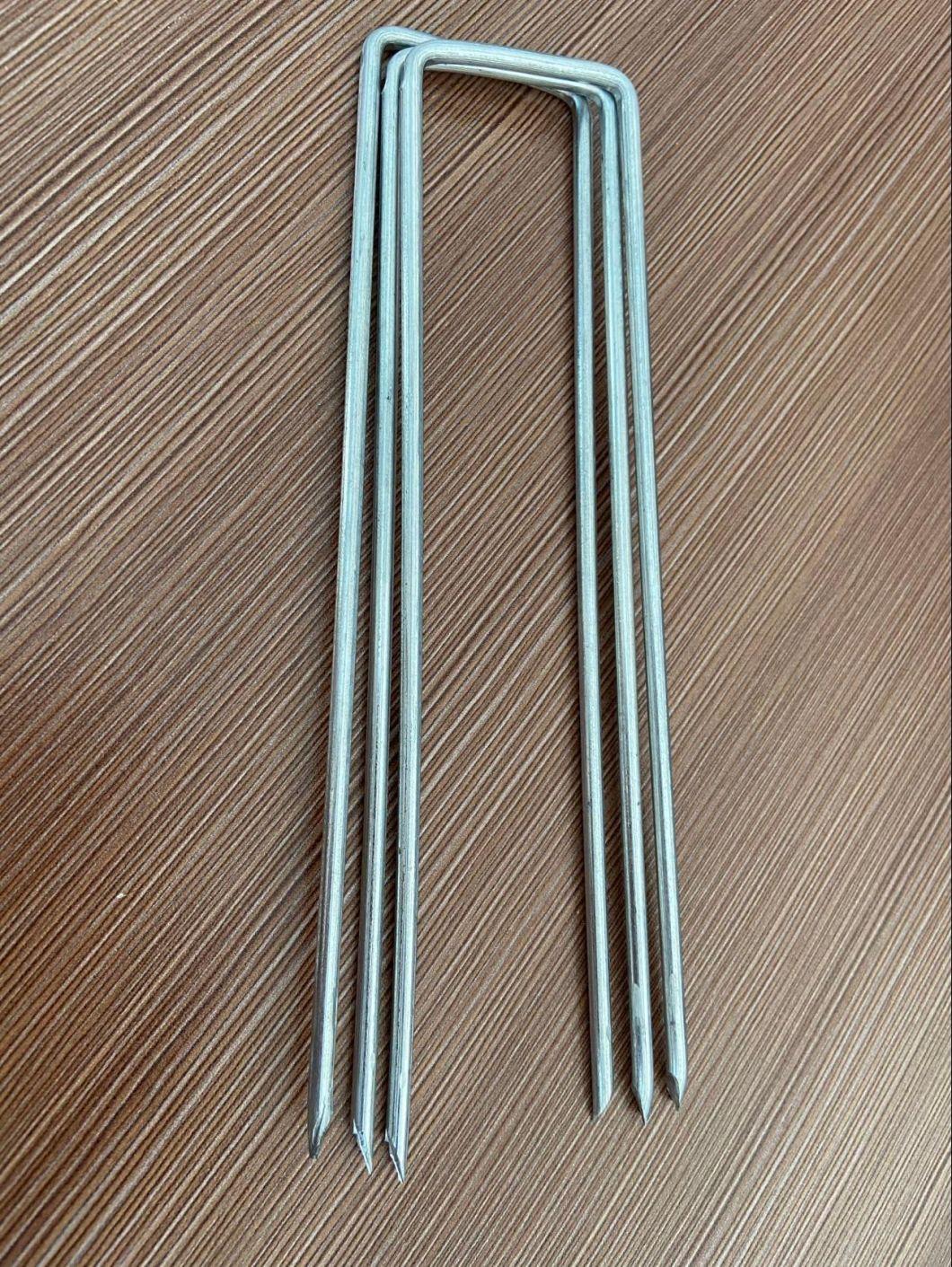 6"Hot Sale SOD Staple/ Grass Nail/U Staple (factory)