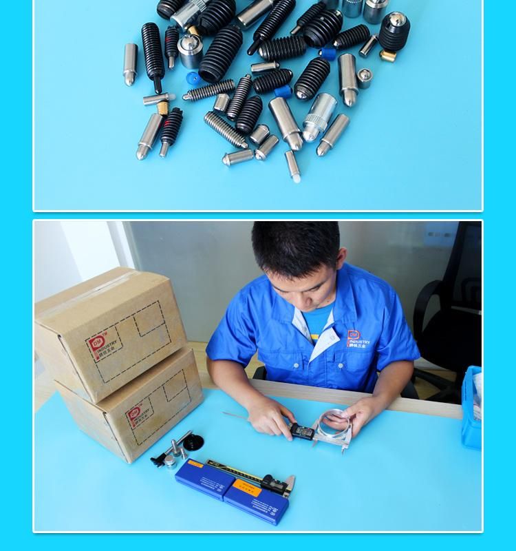Slot Drive Spring Plunger with Locking Element Nylon Pellet