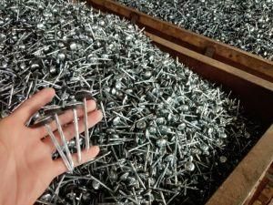 Roofing Nail, Electrio Galvanized Roofing Nails with Washer