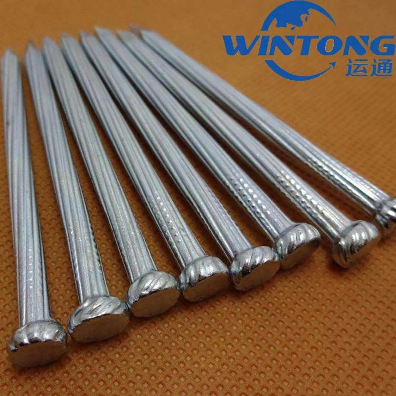 Factory Galvanized and Polished Concrete Nails for Building