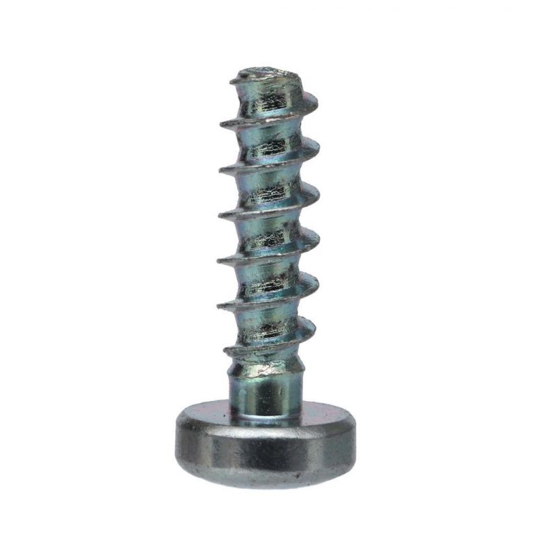 Stainless Steel Tapping Screws/Drilling Screws/Furniture Screws/Hex Flange Head Screws/Hex Socket Screws/Dry Wall Screws/Core Plate Screws