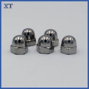 Stainless Steel Hexagon Acron Nuts