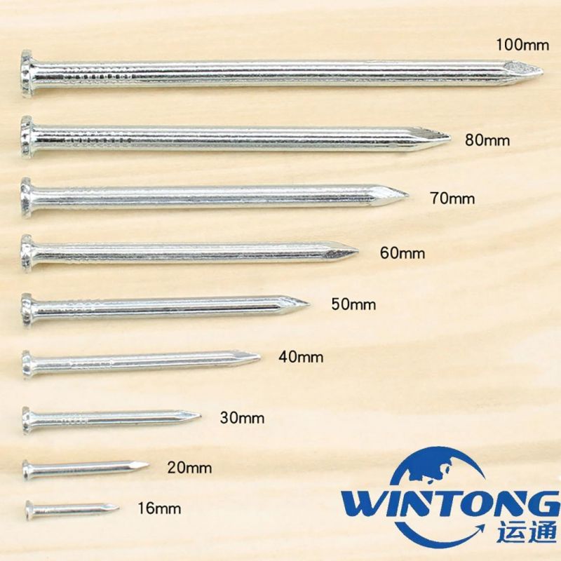 Hot Sale Galvanized Concrete Steel Nail China Factory