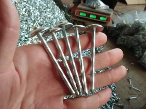 Galvanized Nails with Gasket Roofing Nail with Rubber Washer