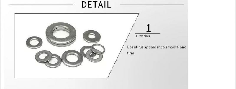 China Manufacturing Wholesale Price High Quality Stainless Steel SS304 SS316 Carbon Steel Washer DIN125 DIN9021 DIN433 F436 DIN7989 Flat Washer