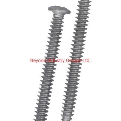 Screw Factory PPG Coated 25 Kesternich