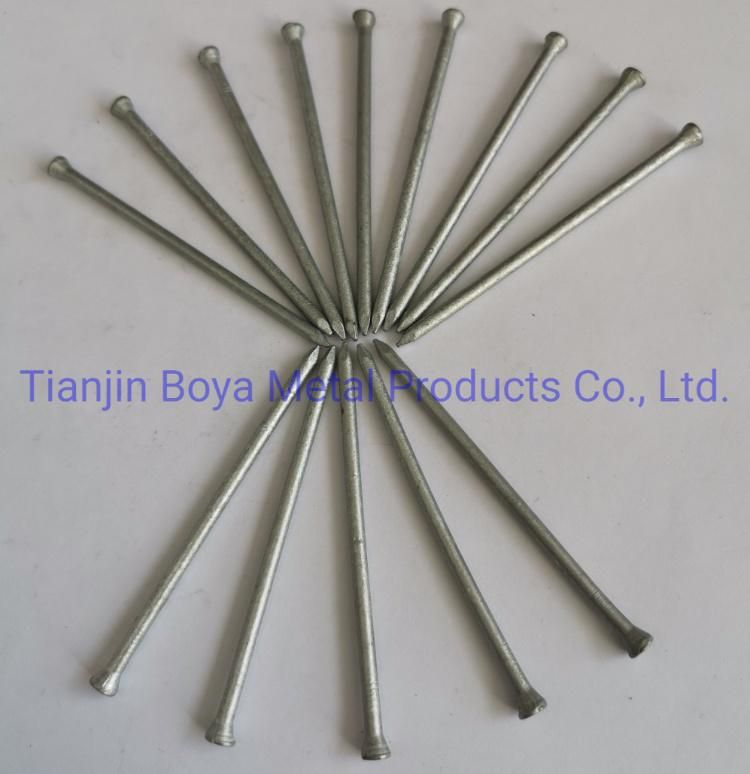 Q195 Hot Dipped Headless Nail/Jolthhead Nail with 20kg/CTN