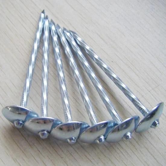 Direct Factory Hot Sale Q235/Q195 Galvanized Corrugated Sheet Nails Twisted /Smooth Shank Umbrella Head Roofing Nails