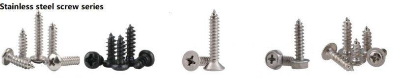 Stainless Steel 18.8 and Brass /Copper Hexagon Head Tapping Wood Screws DIN7976