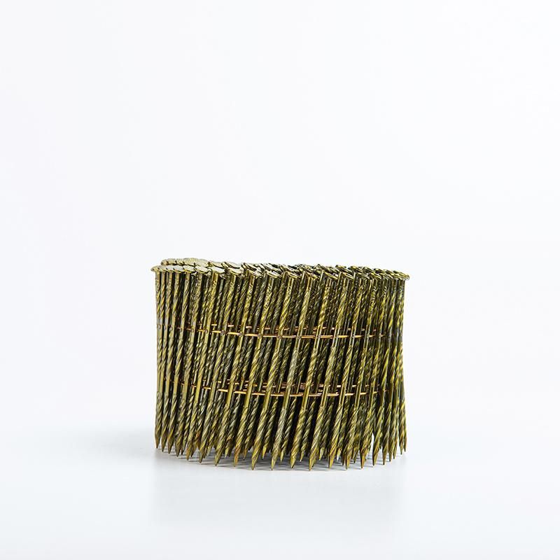 Common Wire Zinc Roofing Finish Coil Nails Concrete Nails