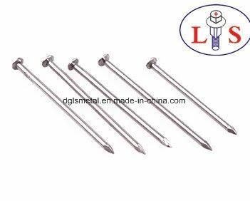Common Iron Nails with High Quality