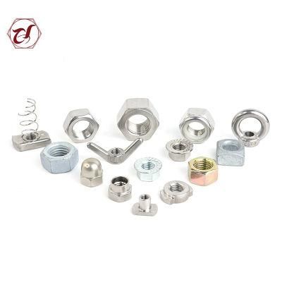 Carbon Steel/Stainless Steel Slotted/Cap /Cage/Flange/T/Square/Lock/Hex Nuts