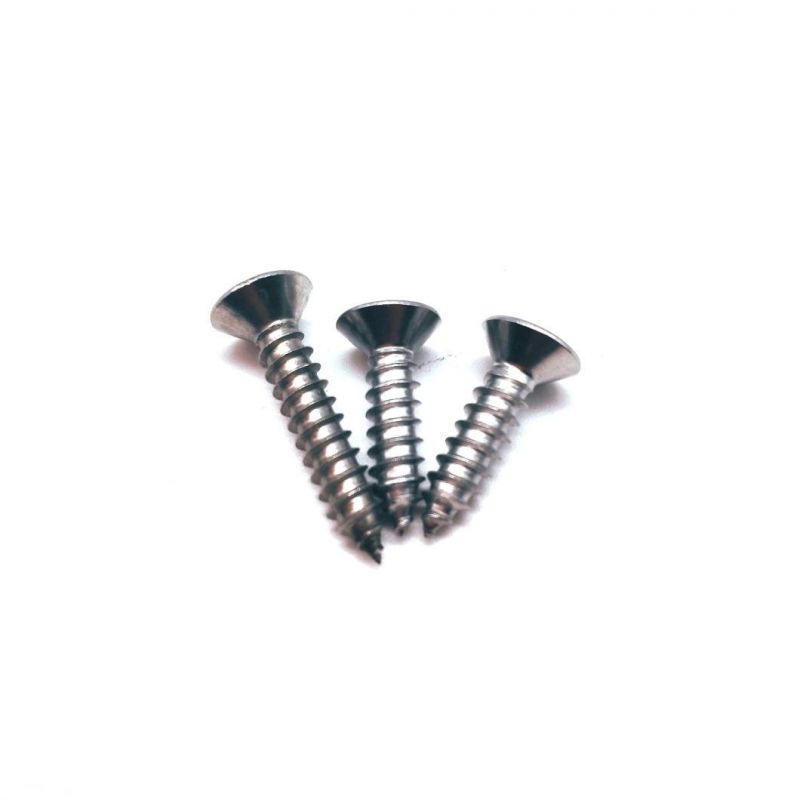Stainless Steel Countersunk Head Micro Nano Screws