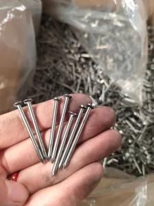 Iron Wire Nail for Building and Construction Hardware