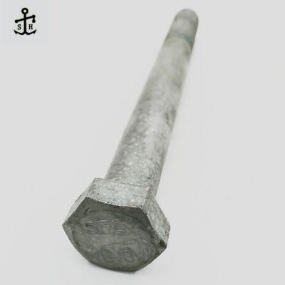 Hot DIP Galvanized Hexagon Head Bolt Custom Size Quality Guarantee Made in China