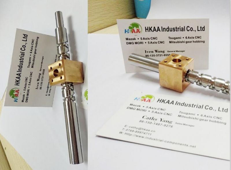 Custom CNC Machining Stainess Steel Lead Screw