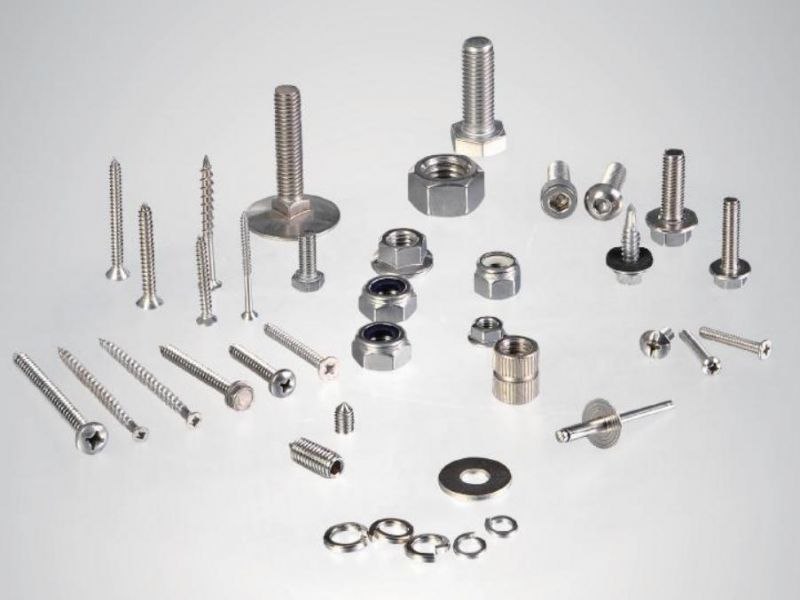 Hardware Roofing Bolts C/W Square Nuts Screw