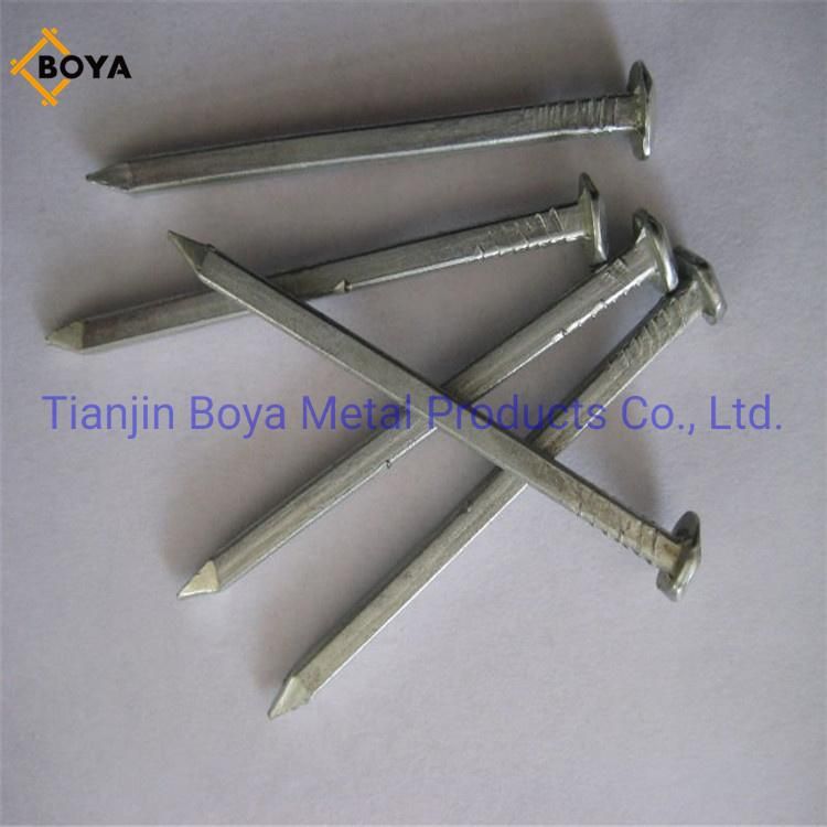 Electro Galvanized Square Boat Nails for Boat Building