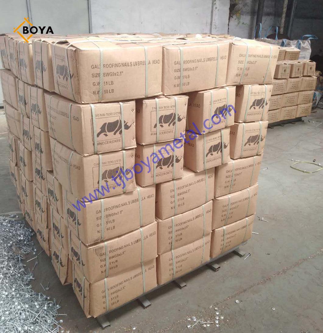 Galvanized Assembled Roofing Screw Nails with Washer