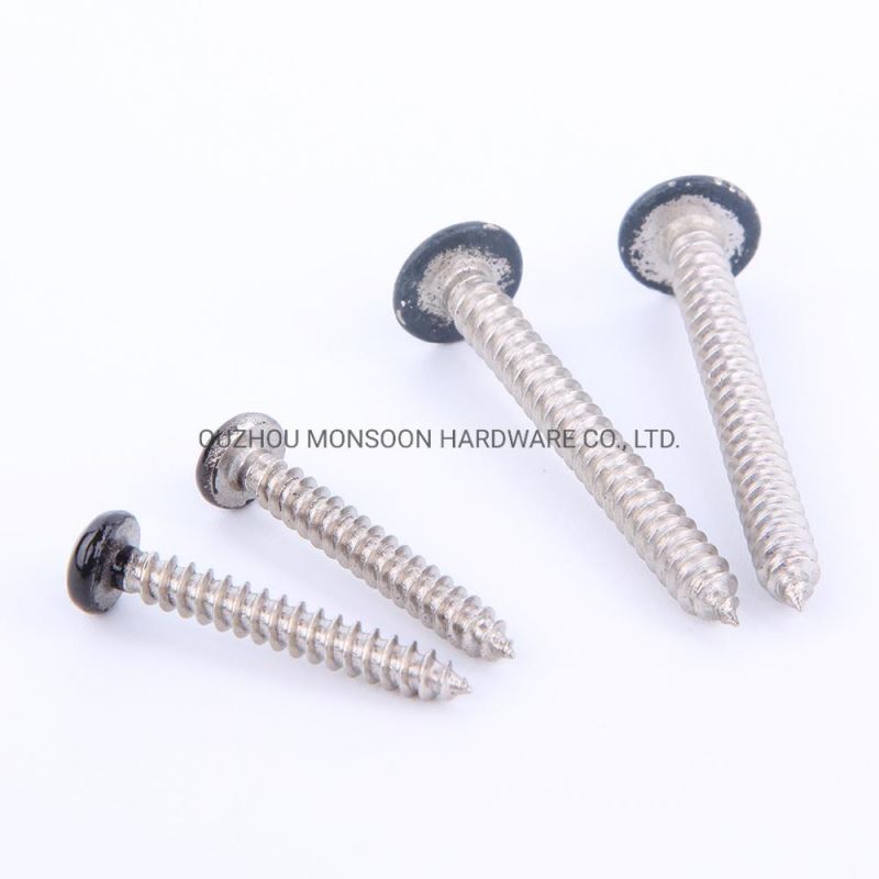 Stainless Steel Pan Head Phillips Screws with Painted