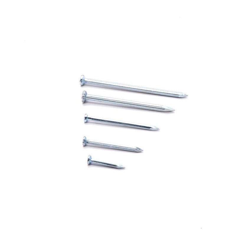 High Strength Angular Concrete Nails Steel Electro Galvanized