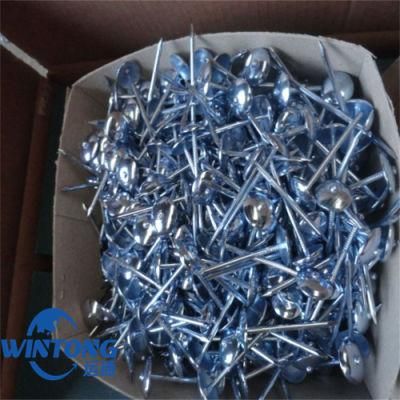 Galvanized Roofing Nail/Umbrella Nail/Big Head Nail