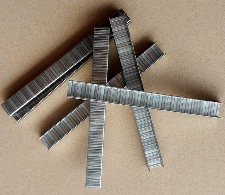 Omer 80 Series Fine Wire Staples for Wood Upholstery