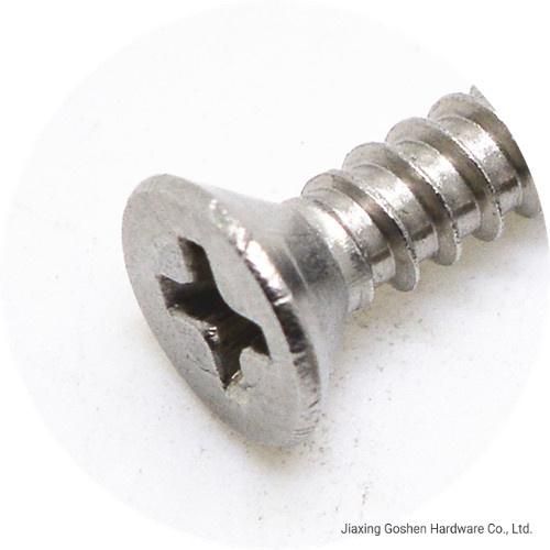 Stainless Steel 201 or 304 or 316 A2 or A4 Countersunk Head Cross Self Tapping Screws