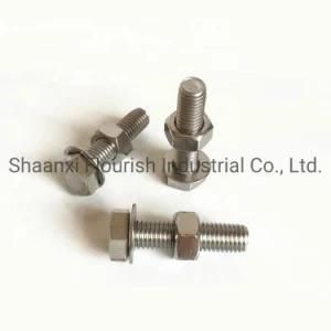 304 316 Stainless Steel A2 A4 Fasteners Hex Bolt and Nut Set with Washer