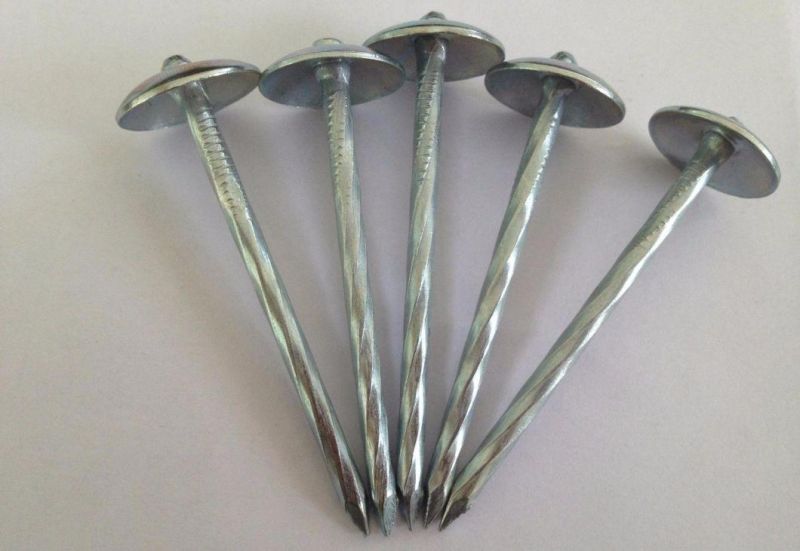 Galvanized Roofing Nail with Umbrella Head