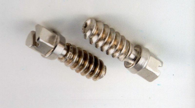 Stainless Steel Slot Head Clamp Screw