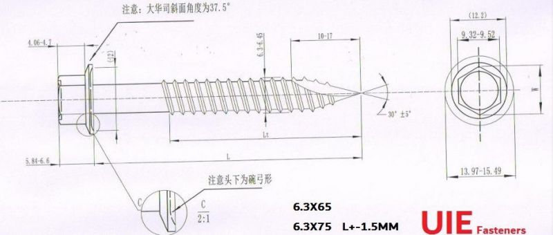 Gi Fastener Hex Indent Flange Head Self Tapping Screw Type 17/ Roofing Screw (EPDM Bond Washer Fiji, New Zealand, Australia Market)