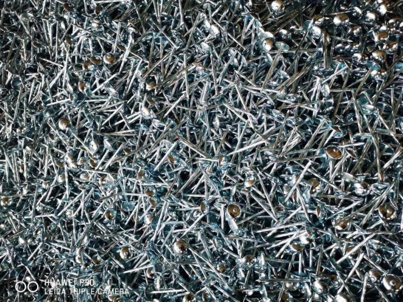 Q195 Material Twisted Shank Roofing Nails Umbrella Roofing Nail From China Manufacturer