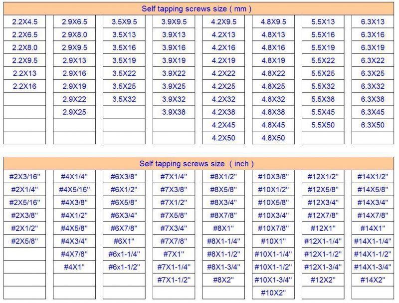 Type 17 Drive Decking Torx Head Wood Screw