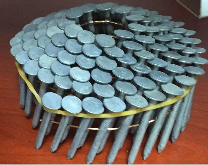 15degrees Hot Dipped Galvanized Coil Roofing Nail