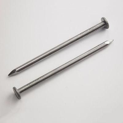 Wholesale Factory Price Galvanized Steel Common Polished Wire Iron Nail