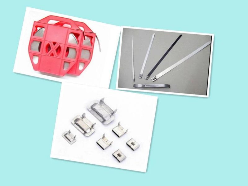 Good Quality Stainless Steel Strips with Steel Band Buckle/Line Hardware