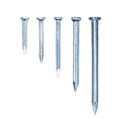 Galvanized Smooth Shank Concrete Steel Nail Steel Concrete Nail