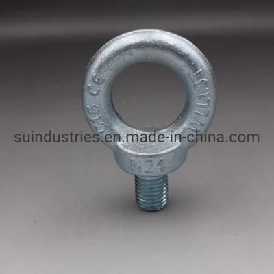 Elec. Galv. DIN580 Lifting Eye Bolt