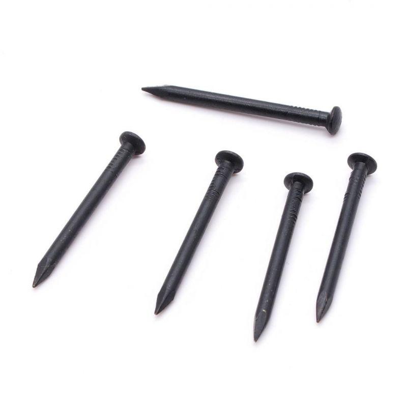 Lower Factory Price Galvanized Stainless Black Steel Nail Nails Concrete Nail