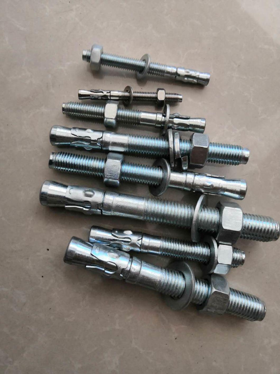 Stainless Steel/Carbon Steel Anchor Bolr/Expantion Bolt