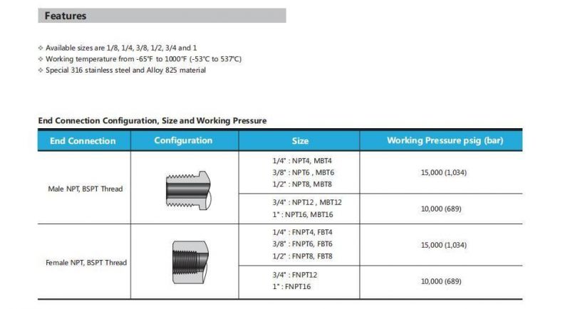 Ultra-High Pressure Hex Nipple Pipe Fittings