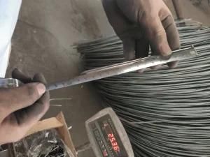 Factory Supply 1&quot;-6&quot;Common Iron Nail